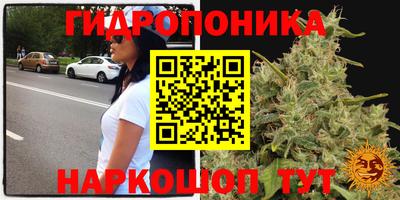 метамфетамин Гусь-Хрустальный
