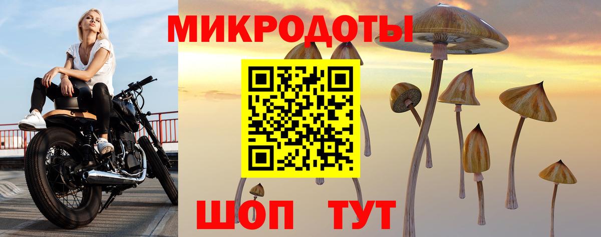 Псилоцибиновые грибы мухоморы Назарово